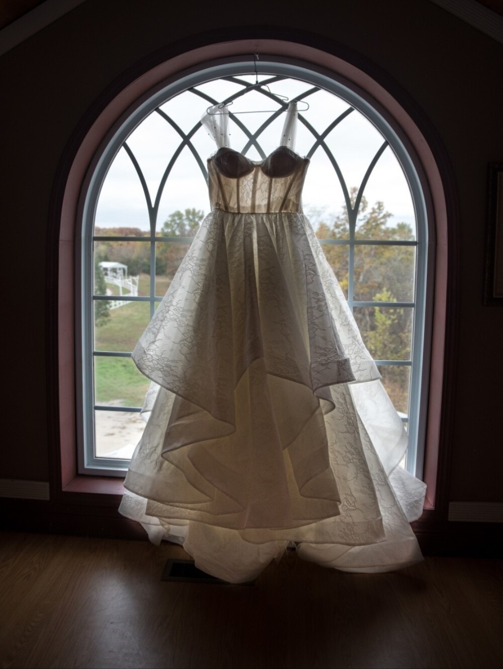 Evie Young Holli Size 10 Wedding Dress - Picture 1 of 4